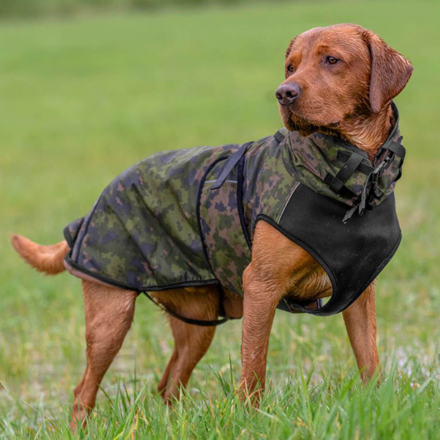 Actionfactory hondencape Elastisch Licht (Camo) - Honden toebehoren